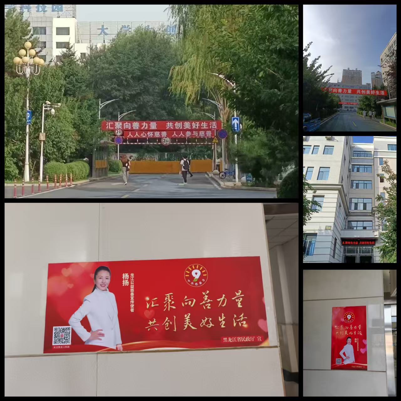 学校教育发展基金会开展“汇聚向善力量 共创美好生活”中华慈善日主题宣传活动