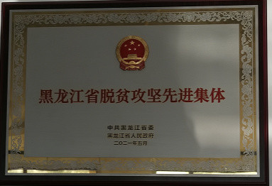 十年接力驻乡野 蝶变东方红——黑龙江工程学院驻村干部接续奋斗铺就致富路